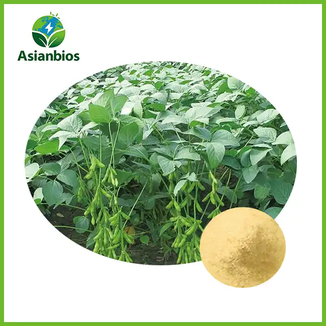 Soybean Extract Powder